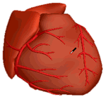 Animationsfilm: Stimulation Animationsfilm: Stimulation